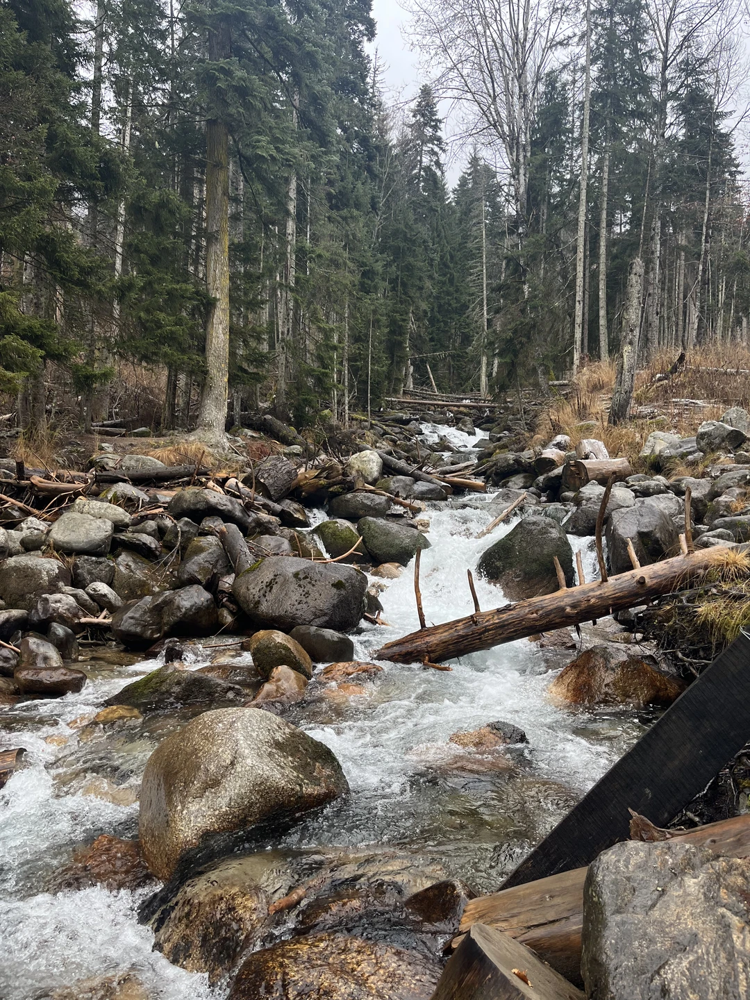 Большое путешествие по Домбаю (Анастасия)