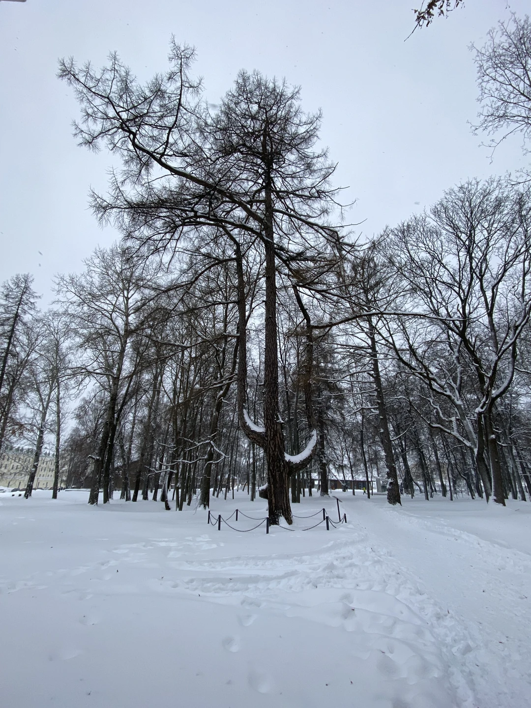 Хочу выразить благодарность гиду Алексею за интересную познавательную экскурсию по городу Выкса. Честно говоря, организовывая экскурсию