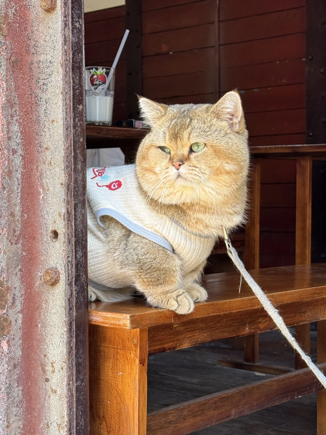 Очень интересная информативная поездка, где Элла проявляет заботу и внимание к каждому шагу. Доступным языком рассказывает