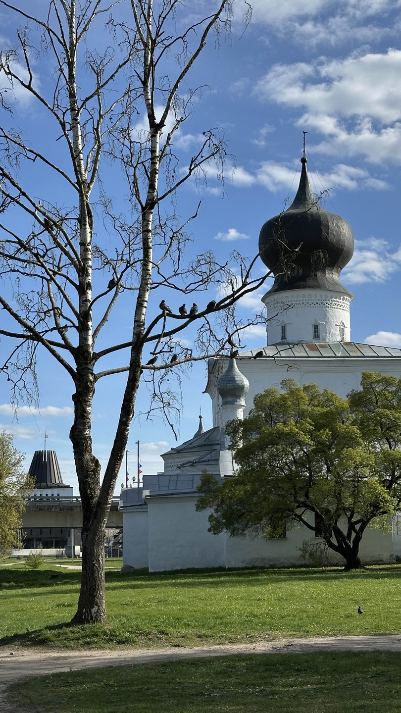 Знакомьтесь, Псков (Елизавета)