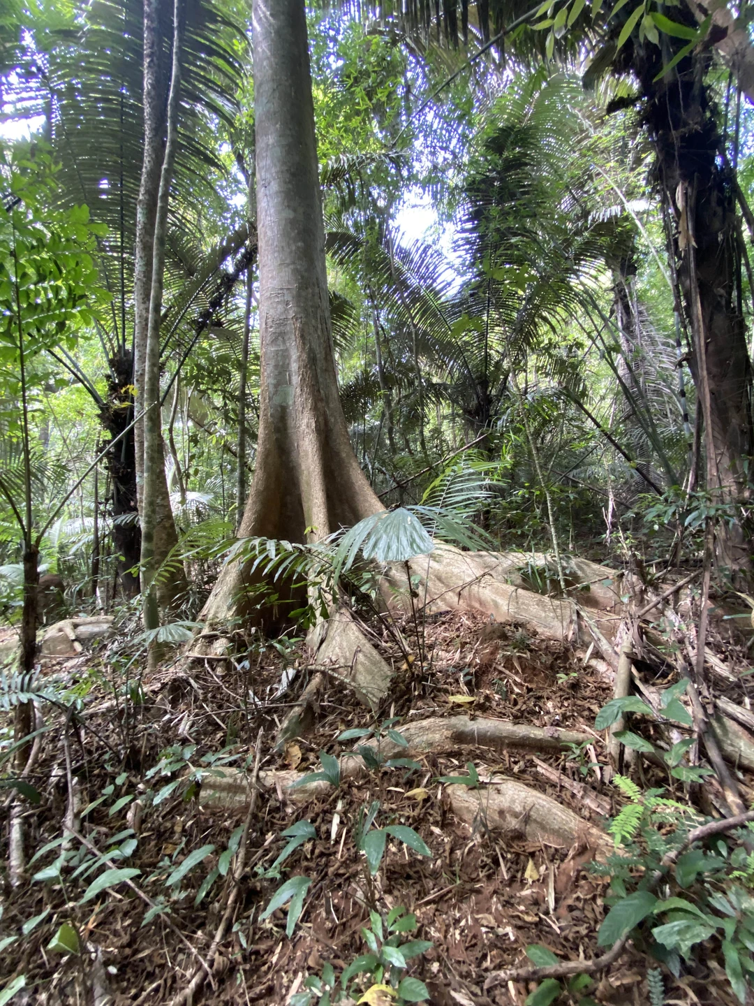 Мы забронировали 4 экскурсии у Сабри - нам понравился его подход: мы сообщили, что на Пхукете