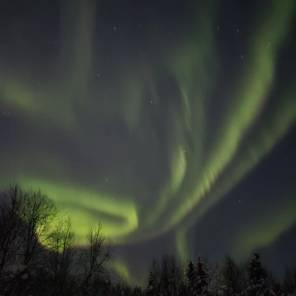 Всем привет!