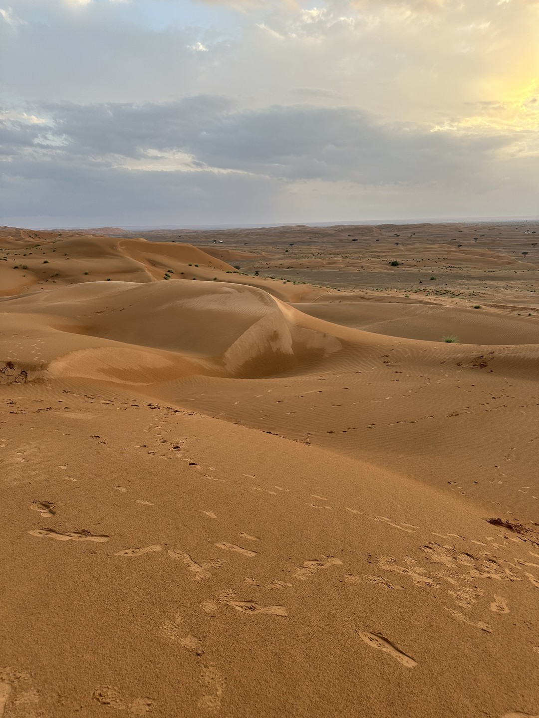 Пустыня Вахиба и оазис Вади Бани Халид (Марина)