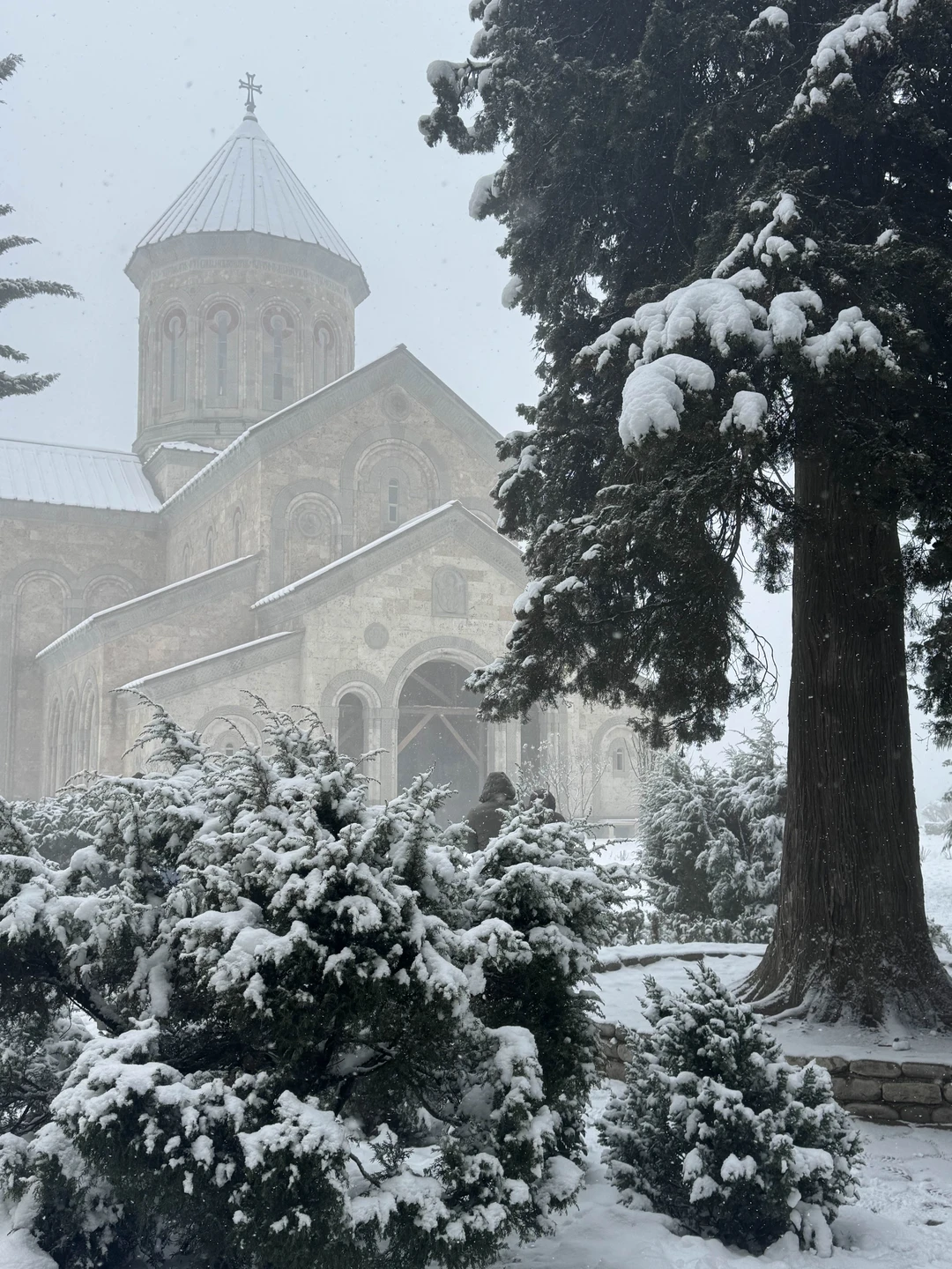 Я много путешествую, и хочу сказать, что благодаря этой экскурсии и прекрасному гиду Владимиру я полюбила