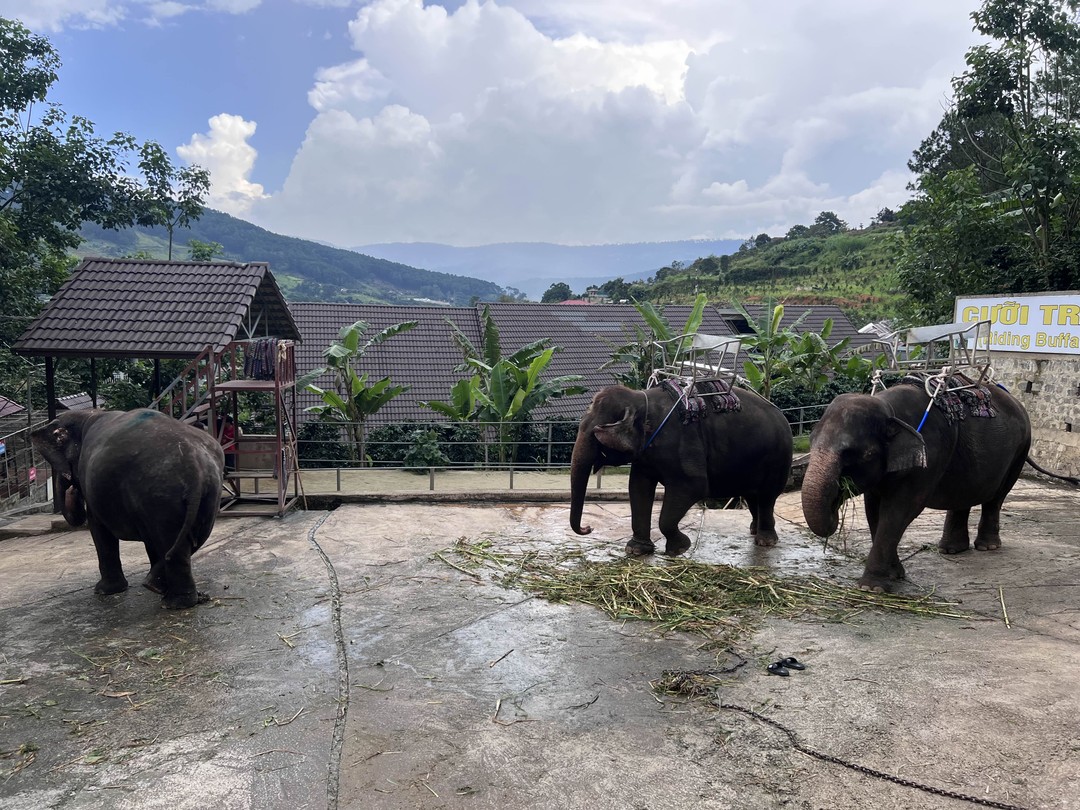 Все было супер! Гид, Иван, респект 🤘🏻
