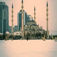 Фото отзыва 2: экскурсия "Рукотворные Чохские террасы, аул-призрак Гамсутль и Салтинский водопад"