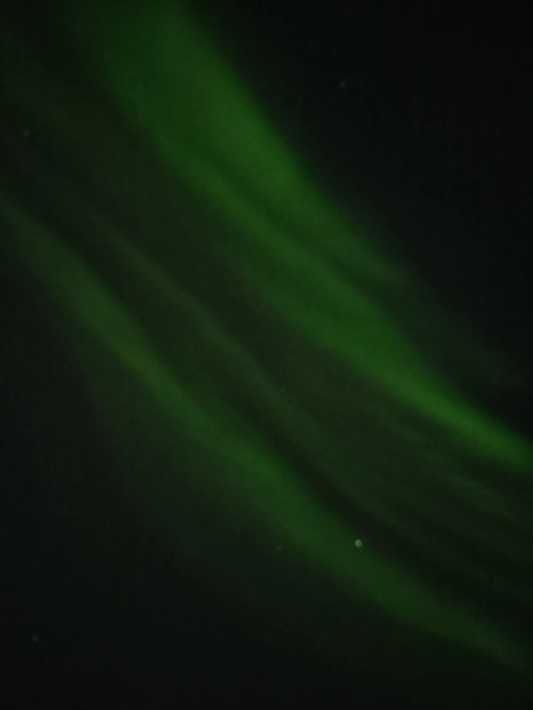 Северное сияние: увидеть главное чудо Заполярья (Елена)