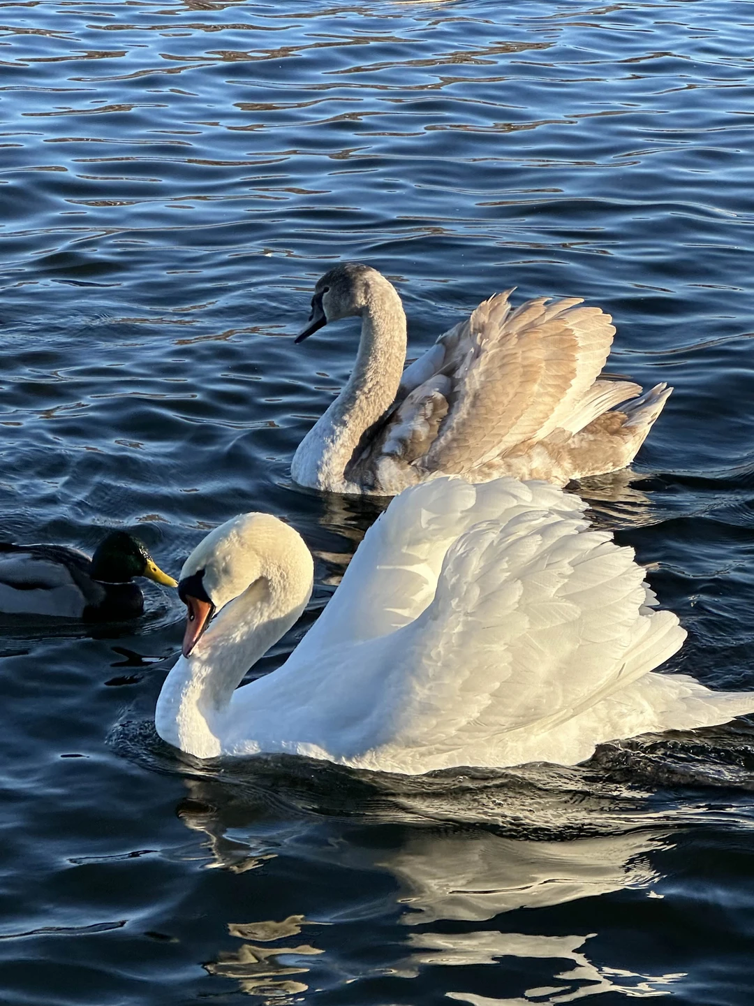Замечательная экскурсия с замечательным Дмитрием! Всем советую!