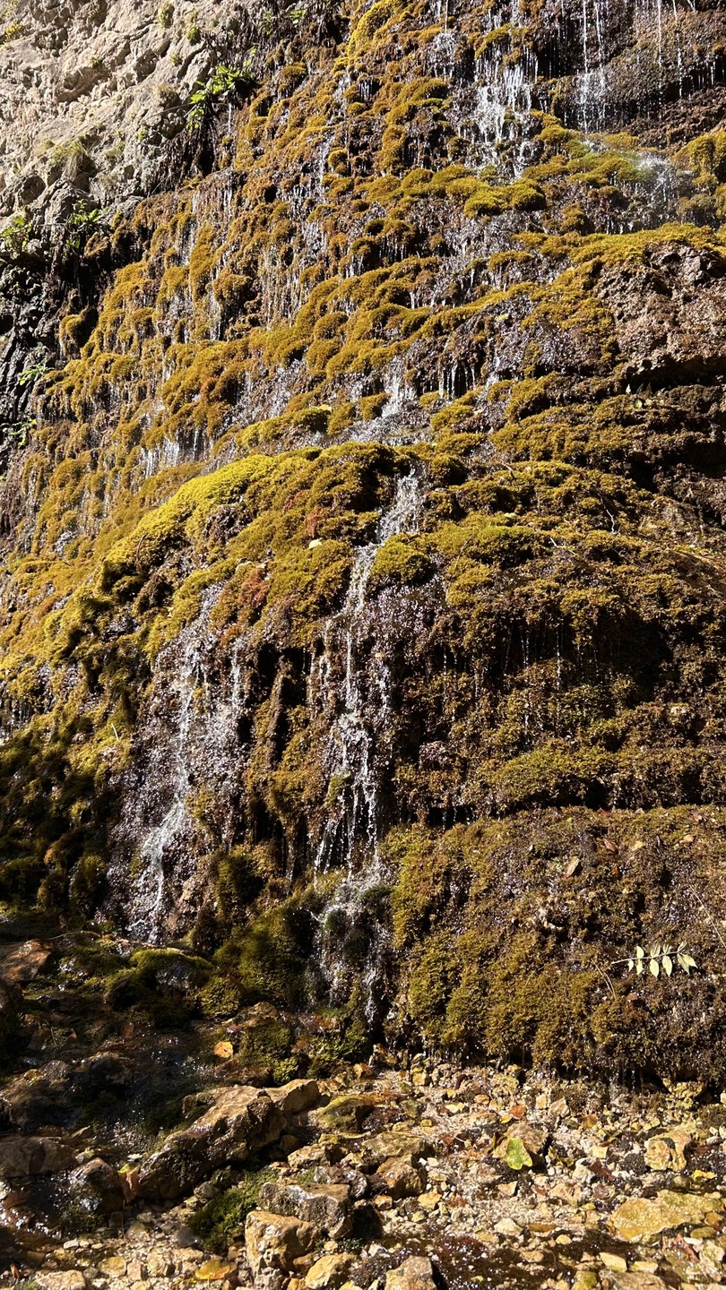 Все очень круто и супер комфортно. Гид Николай шикарен. Маршрут включает в себя много интересных локаций