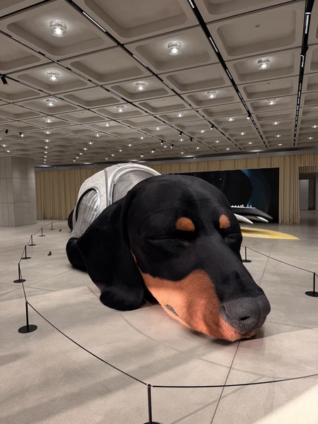 Мы влюбились в Сеул во многом благодаря Ксении. Экскурсия прошла легко и очень уютно, без беготни