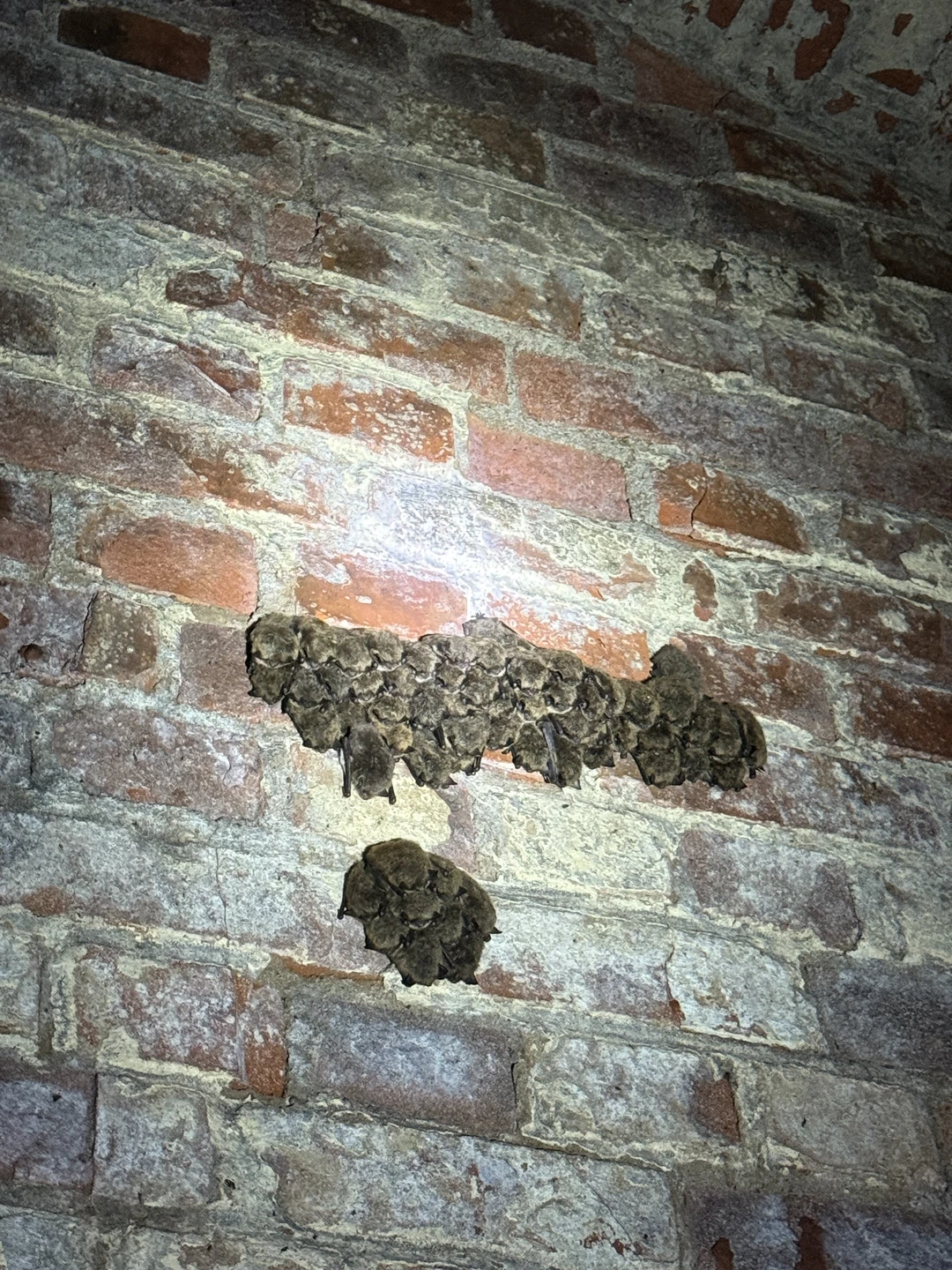 Экскурсия получилась вдвойне интереснее, потому что она ночная. Обошли весь форт, заглянули в каждый уголок, пофотографировались