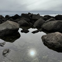 reviews img