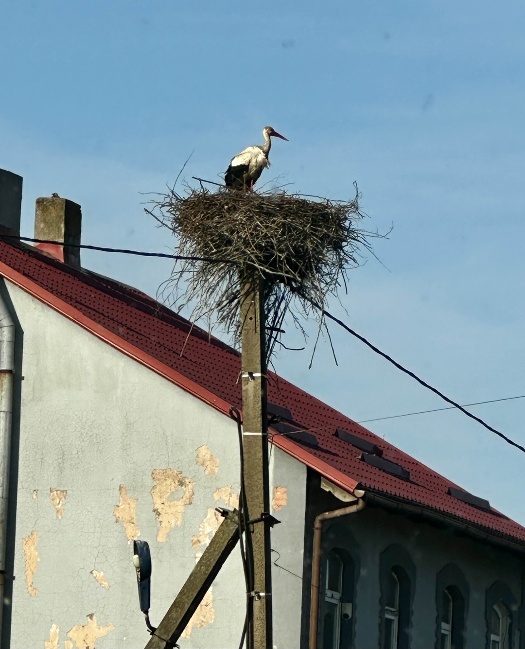 Экскурсия понравилась