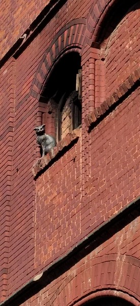 Экскурсия по городам была увлекательной с опытным гидом Ольгой. Она рассказала о местных легендах, истории и