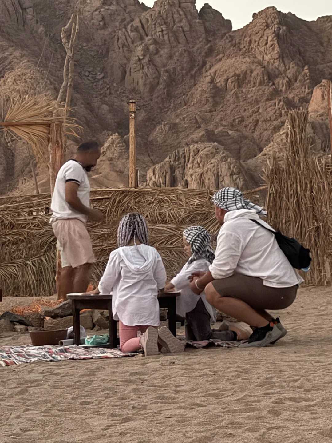 Индивидуальное сафари на верблюдах к Синайским горам и бедуинам (Дарья)