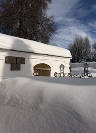 Фото отзыва 5: экскурсия "Из Тулы — по толстовским местам!"