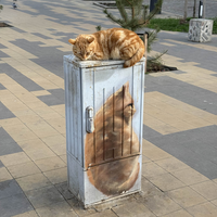 Фото отзыва 1: экскурсия "Куршская коса и Зеленоградск за 1 день (из Калининграда)"