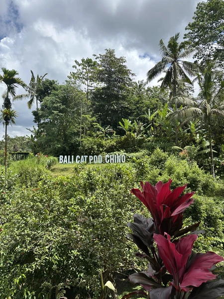 одна из лучших экскурсий,на которых я была. Полное погружение в культуру Бали ❤️ Огромная благодарность нашему гиду Джулии - это было незабываемо 🙏🏻