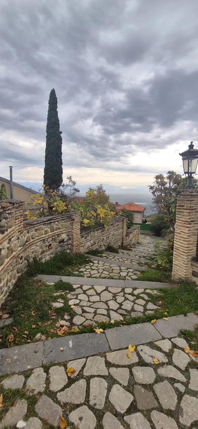 Велисцихе: история кахетинского виноделия (Ольга)