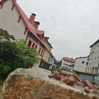 reviews img