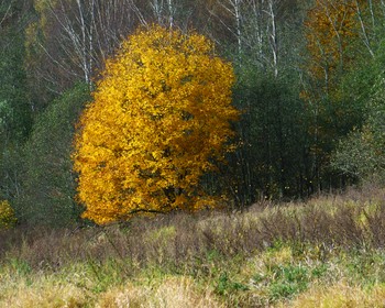 Заезд, вводная часть про технику ловли и рыбалка с берега