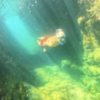 Фото отзыва 1: экскурсия "Снорклинг у южного архипелага Фукуока"