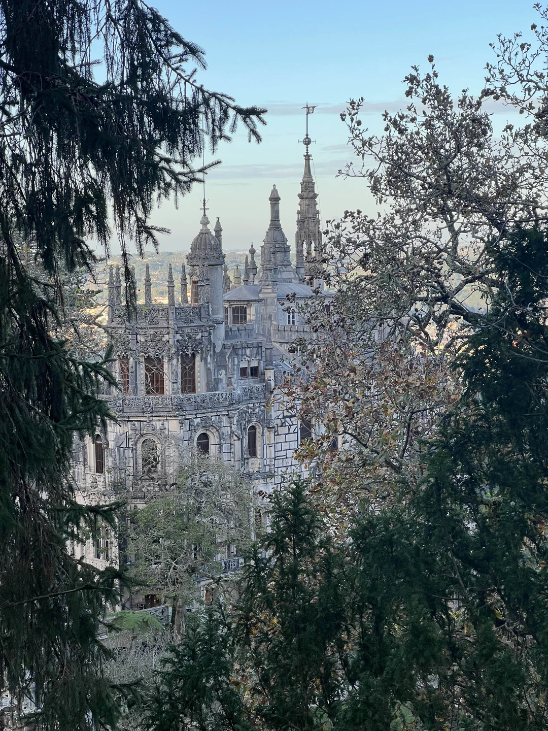 Прекрасно прогулялись с Юлией по Синтре и Регалейре. Компания была разновозрастная и все остались довольны! Отлельная