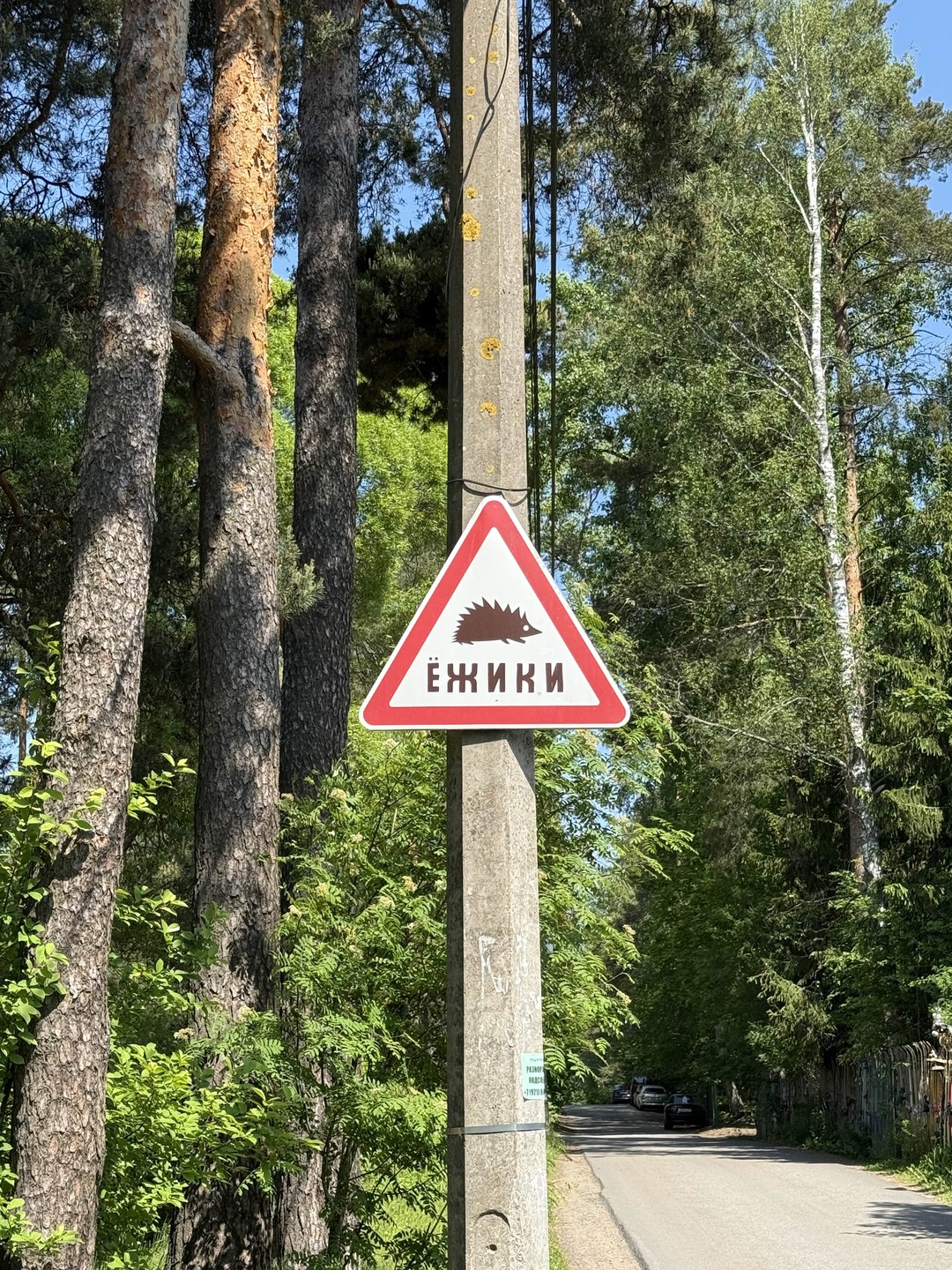 Замечательная прогулка, почти вся вокруг жизни и творчества Ахматовой, все как и было заявлено. Интересно. Только