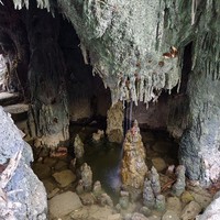 Фото отзыва 2: экскурсия "4 в 1: Амирсой, Чимган, Чарвакское водохранилище и винодельня"