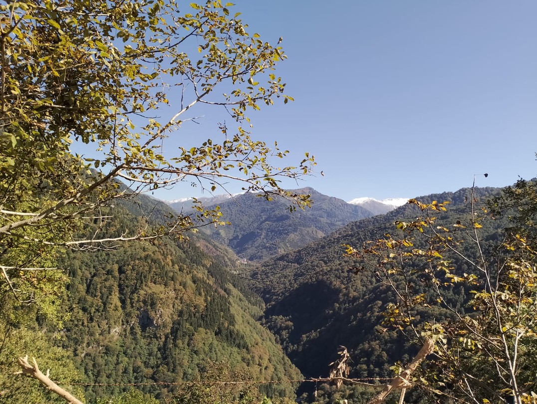 Вчера ездили на индивидуальную экскурсию в горы с гидом-водителем Зазой. Комфортабельный чистый автомобиль, который может ехать