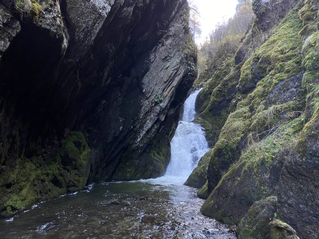 Не хватит слов и эпитетов, чтобы передать весь восторг от экскурсии на Телецкое озеро с Марией