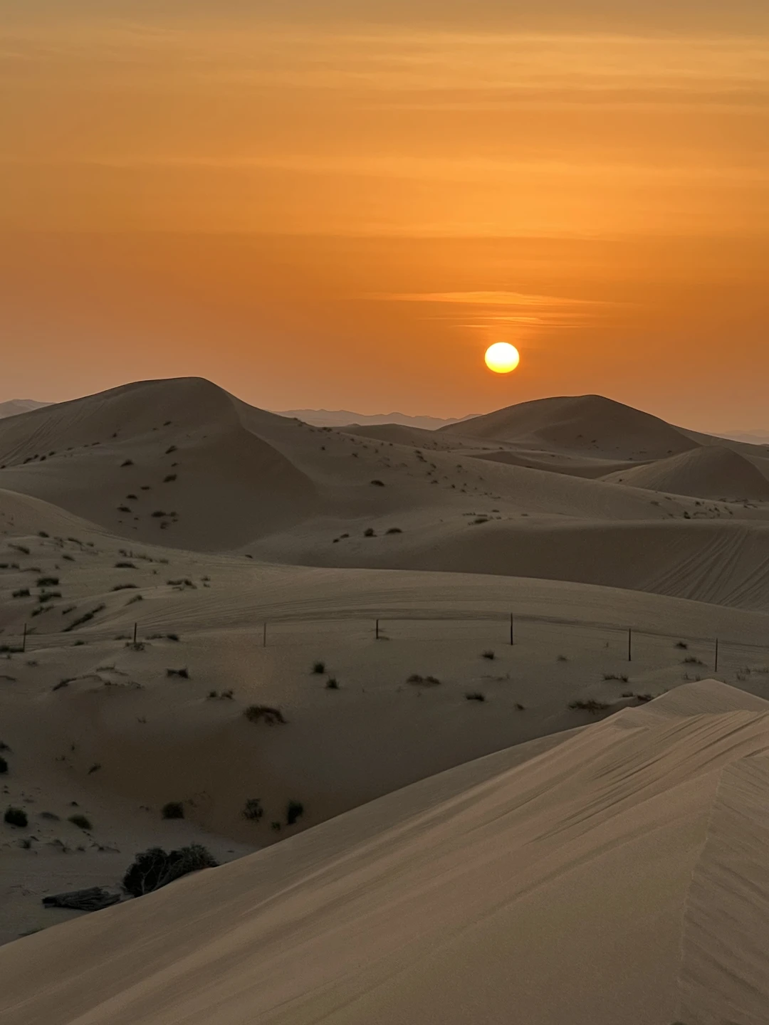Отличная экскурсия! Гид забрал из отеля вовремя, доехали до пустыни быстро. Виды просто шикарные, после катания