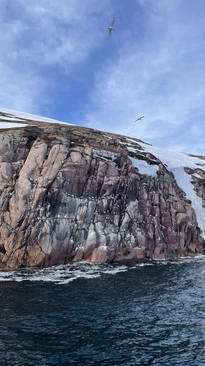 Иногда хочется очутиться в месте, где природа особенно сурова и оттого особенно крышесносна, куда непонятно как