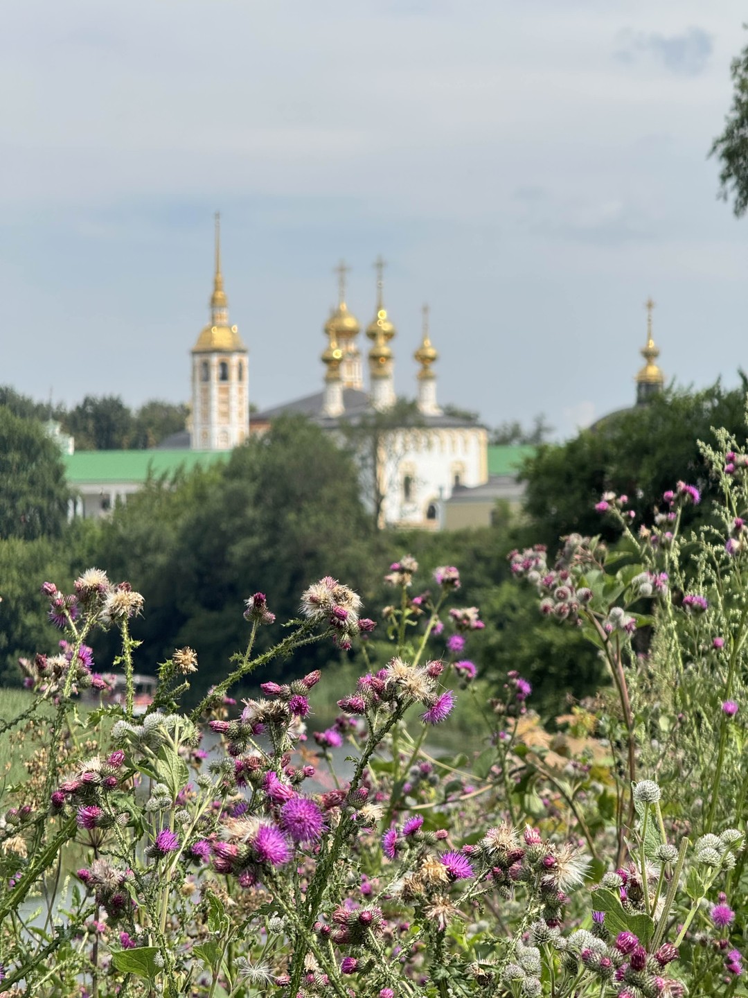 Кирилл замечательно провел экскурсию. Увлек и детей, и взрослых. Много интересного и познавательного было. Очень приятно