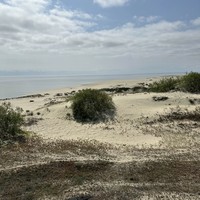 Фото туриста Елена 1 - Куршская коса + Зеленоградск, Светлогорск и Янтарный