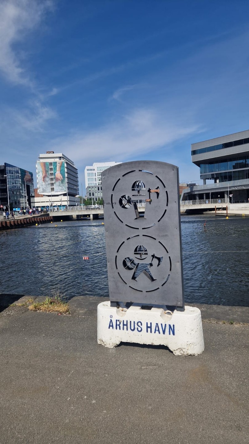 Марина провела для нас увлекательную экскурсию по городским достопримечательностям, стрит-арту и памятникам.