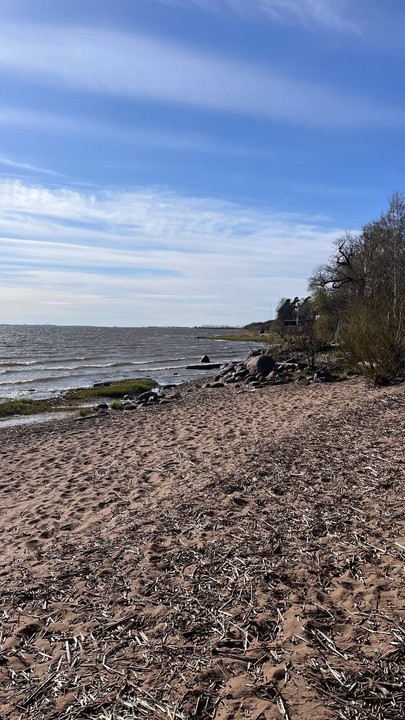 Погуляла по очаровательному курортному поселку Лисий Нос в сопровождении мобильного квеста и Хранителей тайны графа Орлова)
