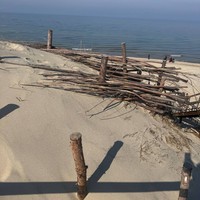 Фото туриста Юлия 1 - Великолепная Куршская коса и очаровательный Зеленоградск