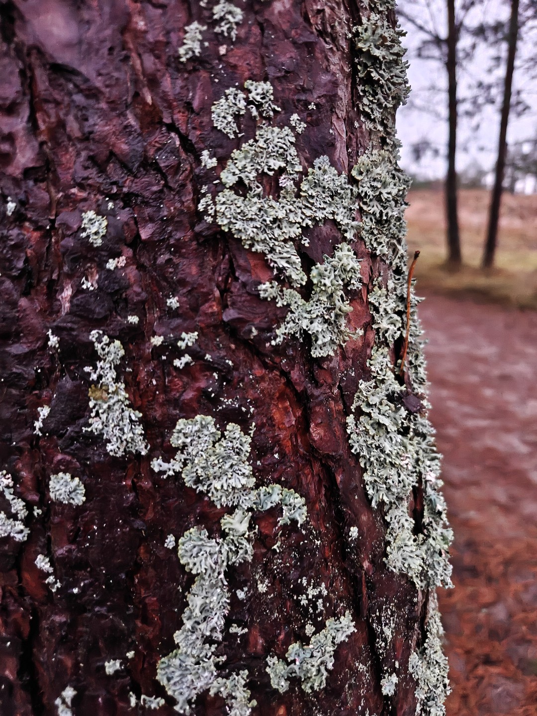 Путешествие с Александром оказалось положительным и незабываемым. Были удовлетворены все мои запросы и я их не