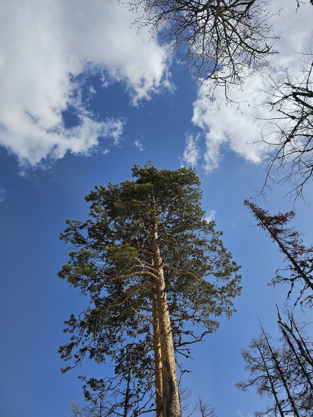Великолепное и незабываемое путешествие!! Огромное спасибо гидам за терпение!!