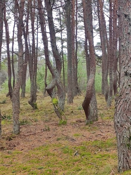 Отличная поездка с историями и фактами, достаточно времени для свободного отдыха, вкуснейшего обеда с видом на