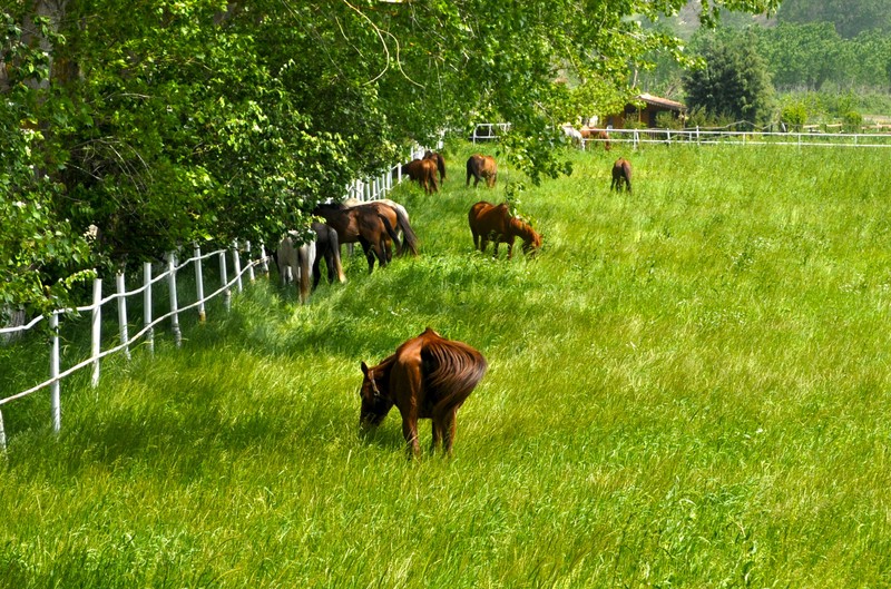 Виды Из Стамбула — в район Чаталджа