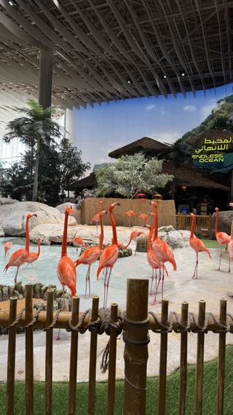 Большое спасибо Ислому и Фаролу! Боала две экскурсии, которые прошли замечательно! Я ОЧЕНЬ довольна! Увидела всё