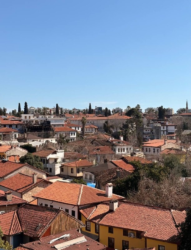 Благодарим Али за прекрасную экскурсию!