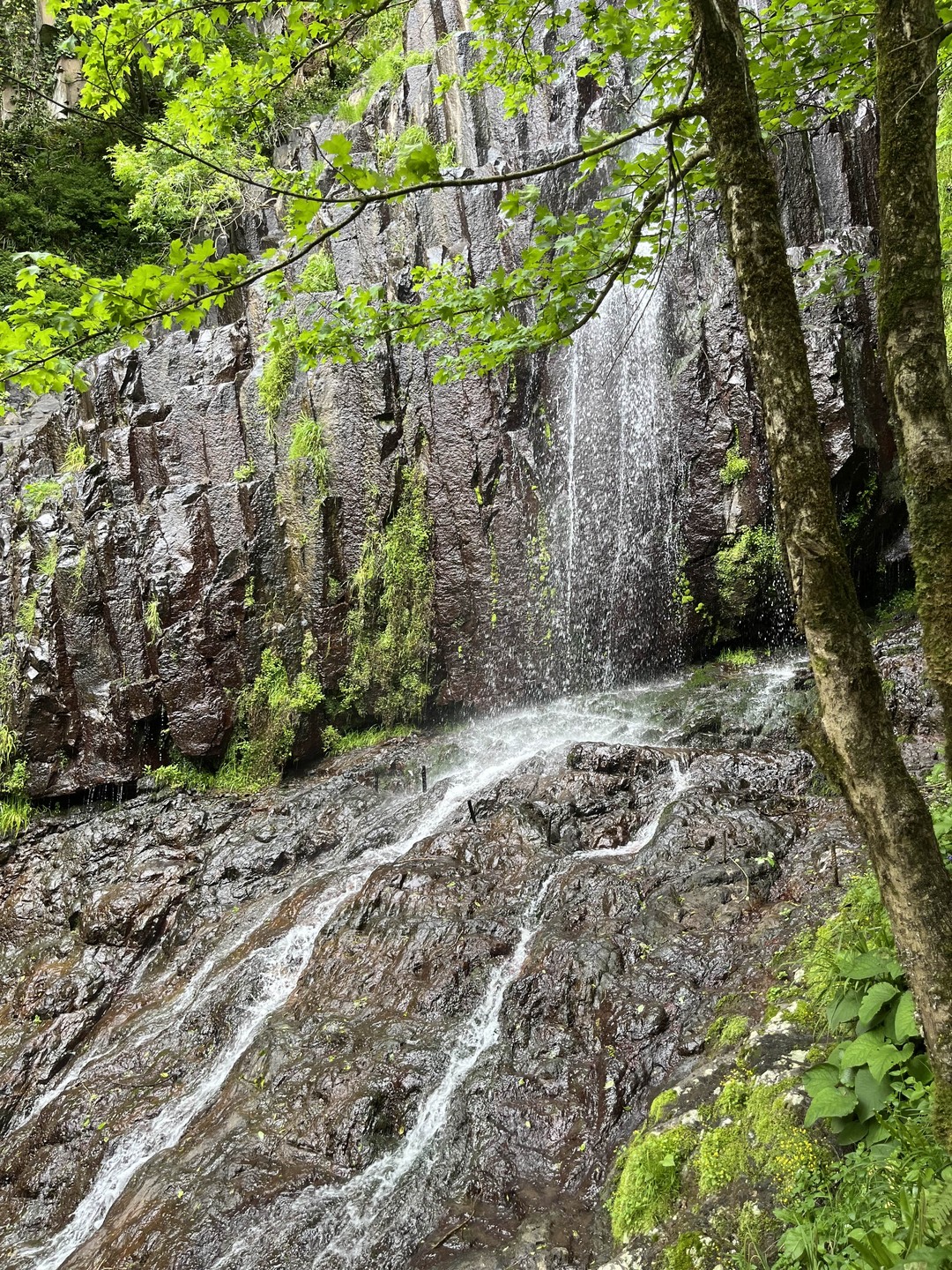 Смело могу рекомендовать.