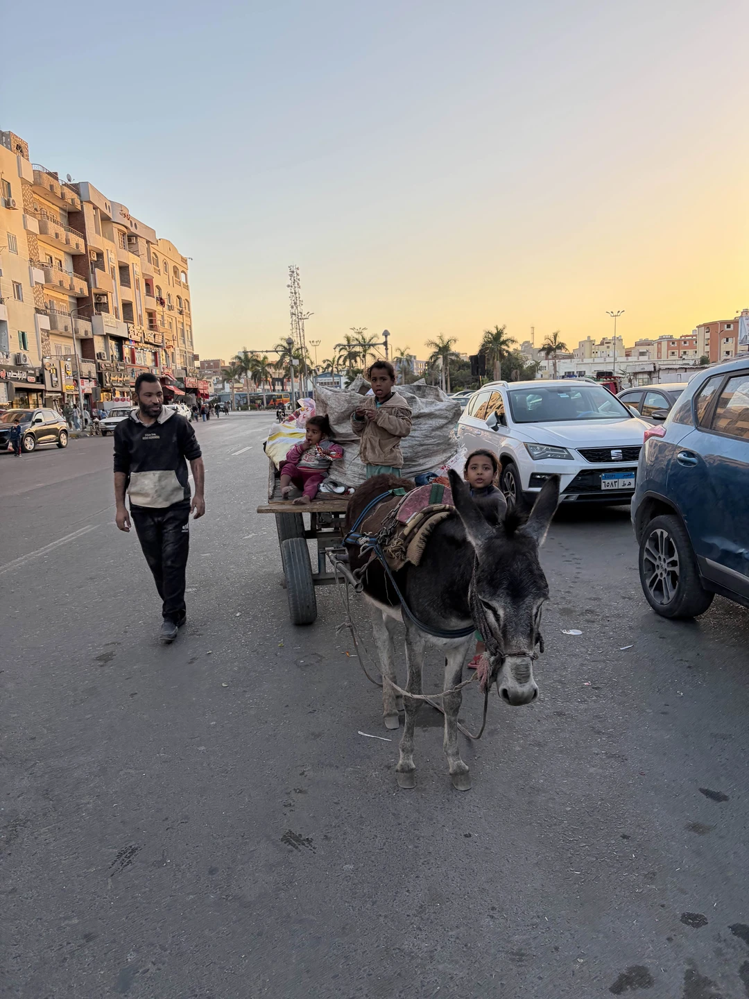 Хочу выразить огромную благодарность гиду Екатерине и Ваэлю за прекрасную экскурсию! Это был идеальный день