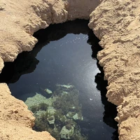 Фото отзыва 3: экскурсия "Национальный парк Рас-Мохаммед — в мини-группе"