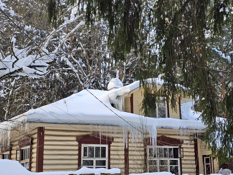 Несмотря на мороз 8 февраля 26 года прогулка по Переделкино была замечательная. Я люблю читать, поэтов
