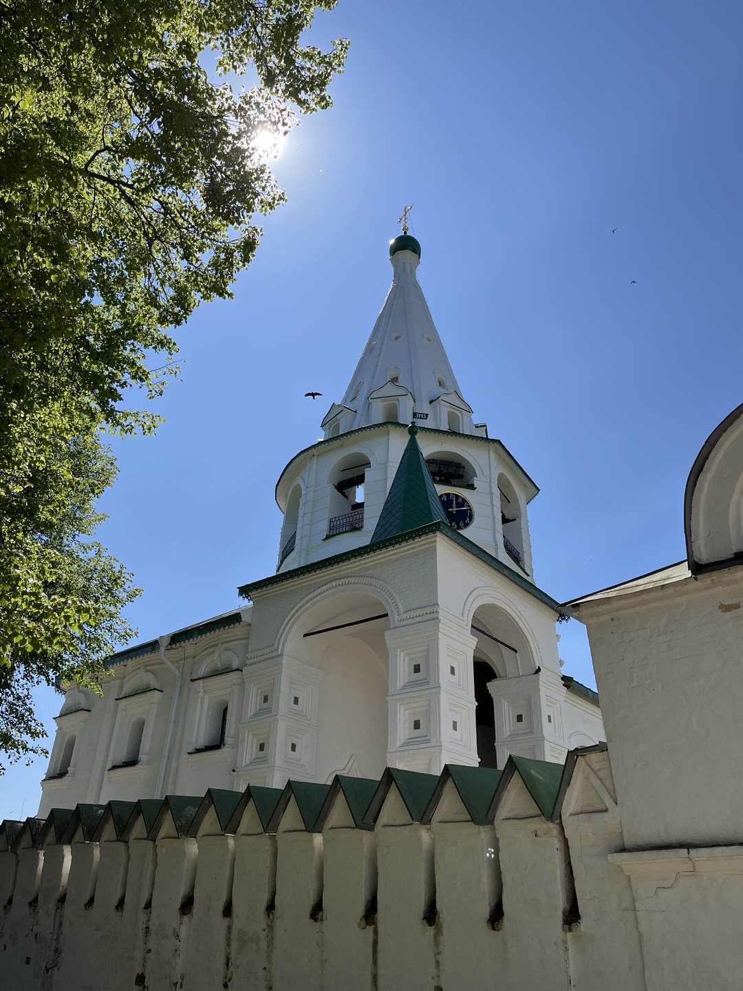 Обзорная экскурсия по Суздалю «Гулять так гулять» (ольга)