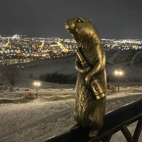Фото отзыва 1: экскурсия "Огни Енисейской Сибири"